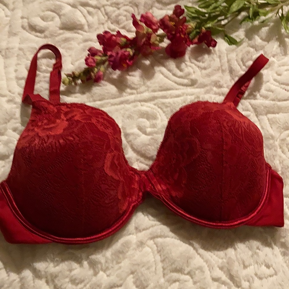 WARNER’S RED BRA, 36C